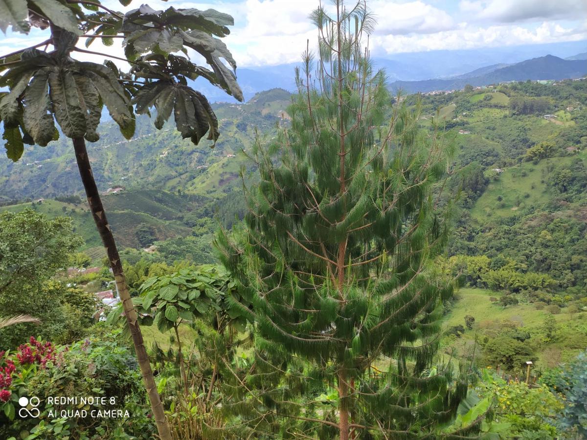 Mirador Finca Morrogacho มานิซาเลส ภายนอก รูปภาพ
