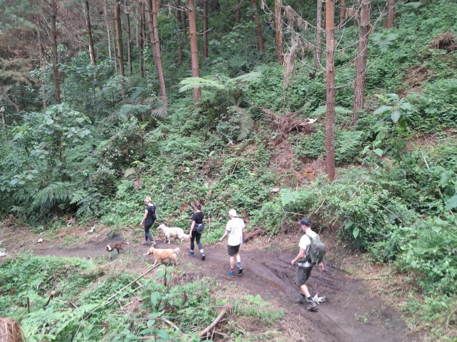Mirador Finca Morrogacho มานิซาเลส ภายนอก รูปภาพ