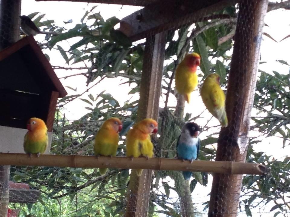 Mirador Finca Morrogacho มานิซาเลส ภายนอก รูปภาพ
