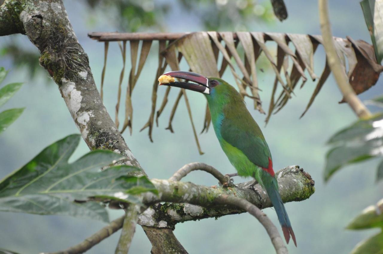 Mirador Finca Morrogacho มานิซาเลส ภายนอก รูปภาพ